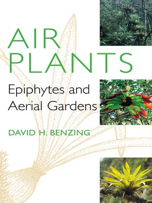 cover image of Air Plants